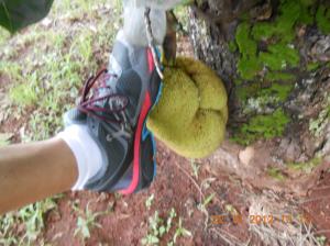 Foto campeã de "likes" em minha "timeline" no Facebook.