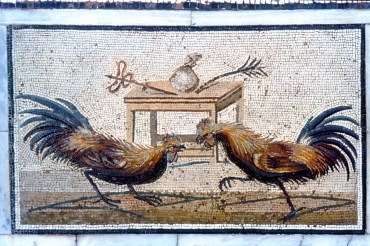 Briga de galos, mosaico romano nas ruínas de Pompéia. 