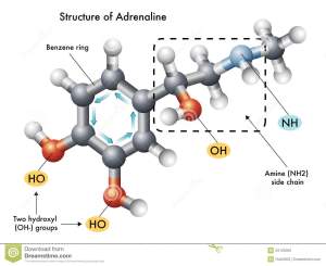 ??????????????????????????????????????????????????????????????????????????????